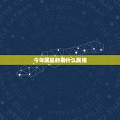 今年属鼠的戴什么属相，属鼠人最适合佩戴什么饰品