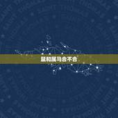 鼠和属马合不合，鼠和虎属相合不合