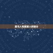 属马人和属猪人的缘分，属马和属猪相克吗
