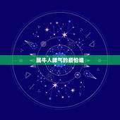 属牛人脾气的最怕谁，属牛的人最怕什么动物