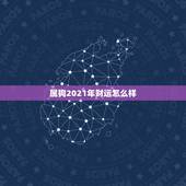 属狗2021年财运怎么样，我属狗，在2021年运势好吗？