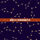属虎2021年桃花劫在几月，属虎的人2021年可能会是多大年龄？