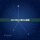 2021年三十属什么属相，2021年3月属什么生肖？