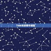 1985年的男牛婚配，85年男和85年女都属牛相配吗？