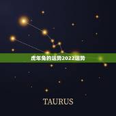 虎年兔的运势2022运势，属兔人要珍惜的2个人