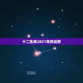 十二生肖2021年的运势，十二生肖运程2021年运势每月运程