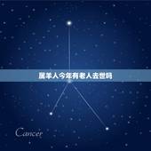 属羊人今年有老人去世吗，邻居老人去世今天是羊场属羊的是不是不能在场？