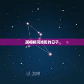 属相相同婚配的日子，结婚的日子和属相一样行吗？