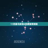 11月属马女和4月属猪男婚配，属马的和属猪的配吗？女属马和男属猪配吗？