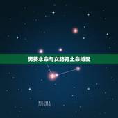 男葵水命与女路旁土命婚配，男1983年属猪，大海水命。女1990年属马