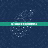 2022年属猪男的婚姻和命运，属猪2022年感情运势