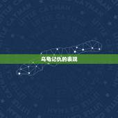 乌龟记仇的表现，乌龟什么行为代表对主人喜欢？