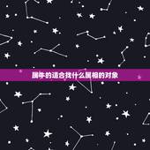 属牛的适合找什么属相的对象，属牛女人更佳配偶