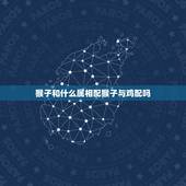 猴子和什么属相配猴子与鸡配吗，属鸡和属猴相配吗？
