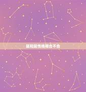 鼠和鼠性格相合不合，兔和鼠合不合