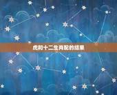 虎和十二生肖配的结果，属虎的属相婚配表