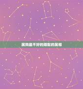 属狗最不好的婚配的属相，70属狗的和什么属相最配