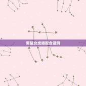 男鼠女虎婚配合适吗，男属鼠女属虎婚姻状况
