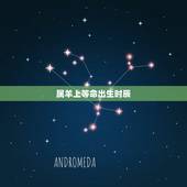 属羊上等命出生时辰，属羊酉时出生