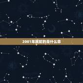 2001年属蛇的是什么命，2001阴历二月二年属蛇五行什么命
