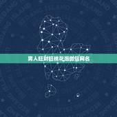男人旺财旺桃花运微信网名，求多个行桃花运的网名（男用）