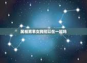 属相男羊女狗可以在一起吗，属羊人真的不能与属狗结婚吗？