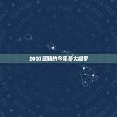 2007属猪的今年多大虚岁，属猪的今年多大