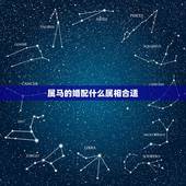 属马的婚配什么属相合适，属马人更佳婚配生肖
