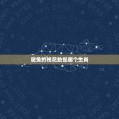 属兔的桃花劫是哪个生肖，属虎和属兔哪个生肖好
