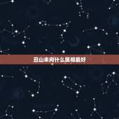 丑山未向什么属相最好，风水中的未山丑立向好着吗？