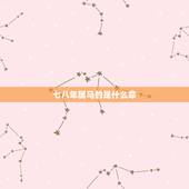 七八年属马的是什么命，1990年属马是什么命