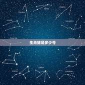 生肖猪是多少号，生肖猪有哪些数