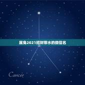 属兔2021招财带水的微信名，63年属免用什么头像最好？