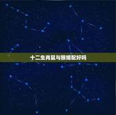 十二生肖鼠与猴婚配好吗，属猴的和属鼠的情侣相配吗？