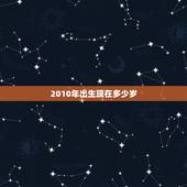 2010年出生现在多少岁，2010年12月13日属什么