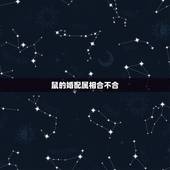 鼠的婚配属相合不合，属鼠的婚配什么属相