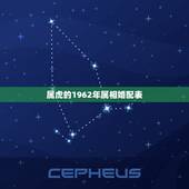 属虎的1962年属相婚配表，62年属虎女孩和什么属相最配