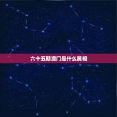 六十五期澳门是什么属相，六十五期开什么生肖
