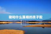 猪和什么属相的孩子配，属猪的和什么属相配