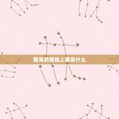 属兔的属相上面是什么，属兔戴什么属相好
