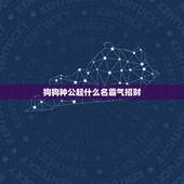 狗狗种公起什么名霸气招财，公狗狗霸气一点的名字有哪些？