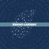 属猪的和什么的属相最好，1995年属猪和什么属相最好