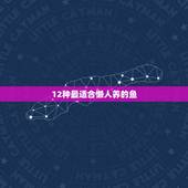 12种最适合懒人养的鱼 懒人适合养什么小型鱼
