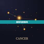 属狗与蛇配吗，属狗的女和属蛇的男人可以结婚吗？