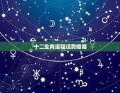 十二生肖运程运势婚姻，2009年十二生肖运程