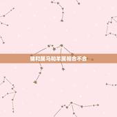 猪和属马和羊属相合不合，属马和属猪合不合财运