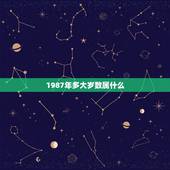 1987年多大岁数属什么，1987年出生，到2019年多大，属什么的？