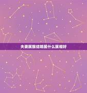 夫妻属猴结婚属什么属相好，猴配什么生肖结婚最好？