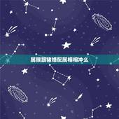 属猴跟猪婚配属相相冲么，属猴的和属猪的相克怎么破解