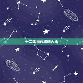 十二生肖的成语大全，十二生肖的成语12个